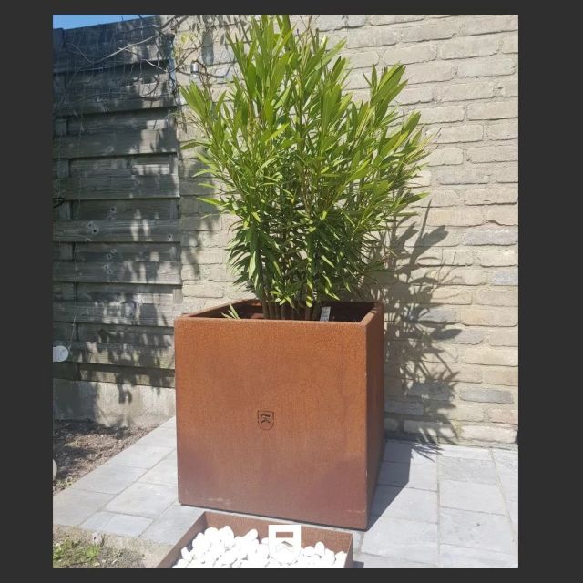 Cortenstaal bloembak op maat✔
#lassen #lassenopmaat #welding #tuin #bloembakken #cortenstaal #lasser #handmadeinbelgium #handwerk #tuinmeubelen #dklas